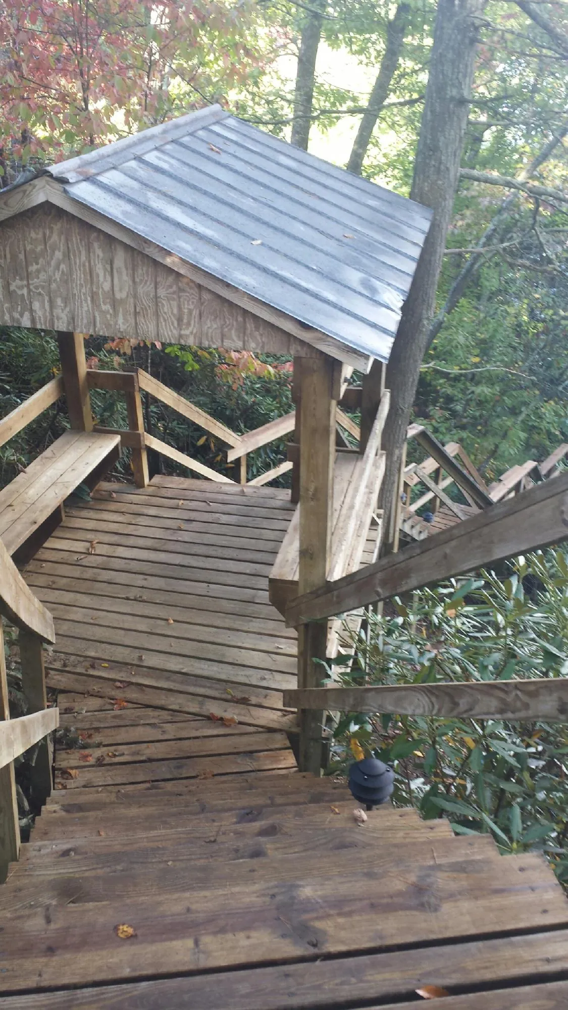 Metal roofed shelter over wooden steps on a wooded walkway — Skylight Repair & Installation work by our crew in Cedaredge