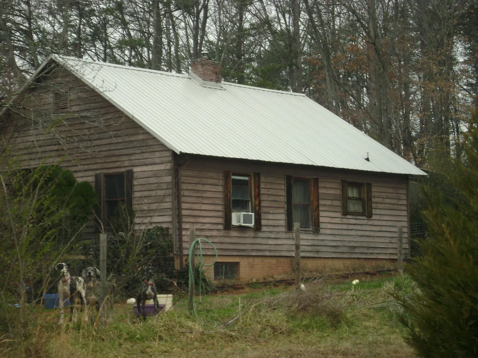 White metal roof on an old wood sided farmhouse, from a Metal Roof Installation job in Cedaredge